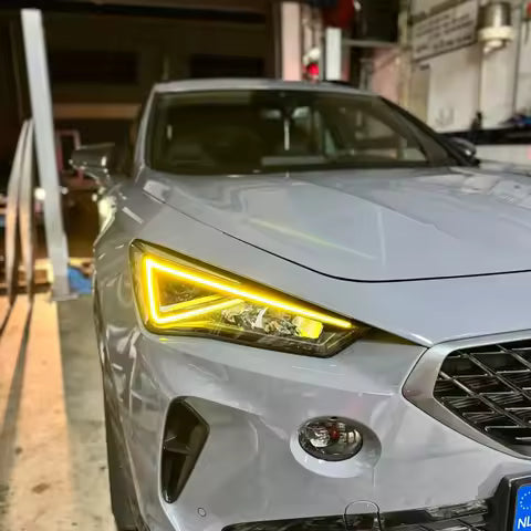 DRL - Cupra 22-2024 Multicolor