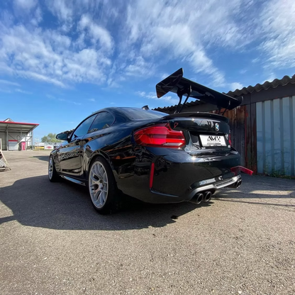 AILERON, AM CARBON WING - CUP