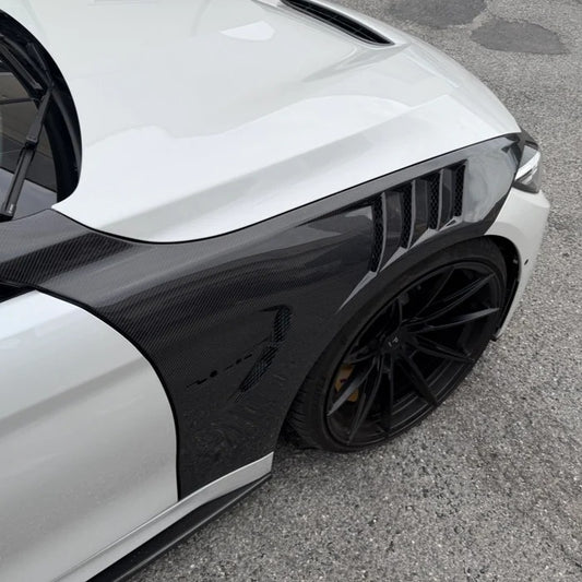 Ailes latérales Carbone, Bmw F8X